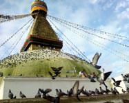 The Great Stupa - Bouda, Nepal